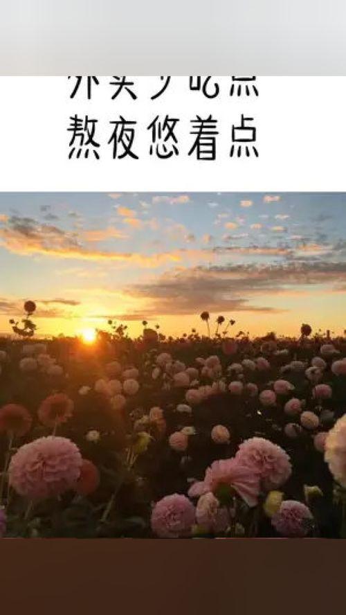 值得的等待,探索耐心与收获的奥秘