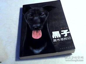 寻狗记,一场温馨感人的寻回之旅