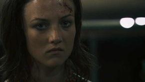 驴子潘趣,一段奇妙的冒险之旅