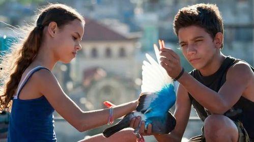 飞不起来的童年,那些被时光遗忘的梦想与挣扎