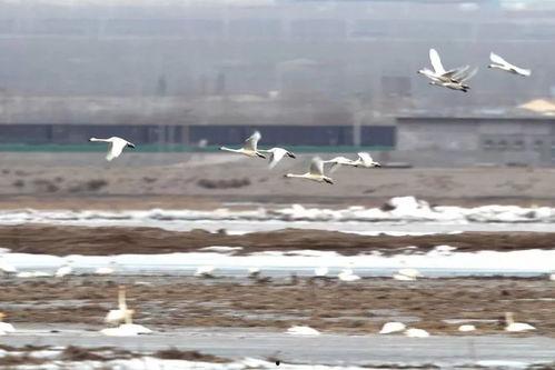 梦醒后往昔再无她