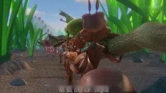 别惹蚂蚁,别惹它们的神秘世界